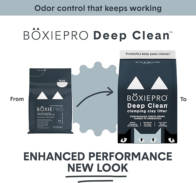 Boxie Probiotic Cat Litter, 40 Day Odor Control, Clumping Clay Kitty Litter, Odor Eliminating Probiotics, Dust-Free, No Fragrances No Fillers, 16 lb