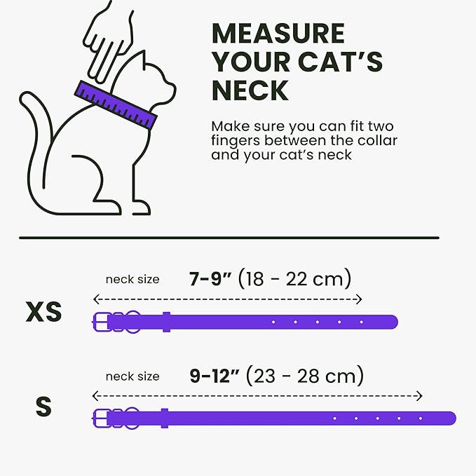 BRONZEDOG Leather Cat Collar with Removable Bells Non Breakaway Kitten QR Tag for Girl Boy (7" - 9" for Cats, Purple & Gold) (Pack of 2)