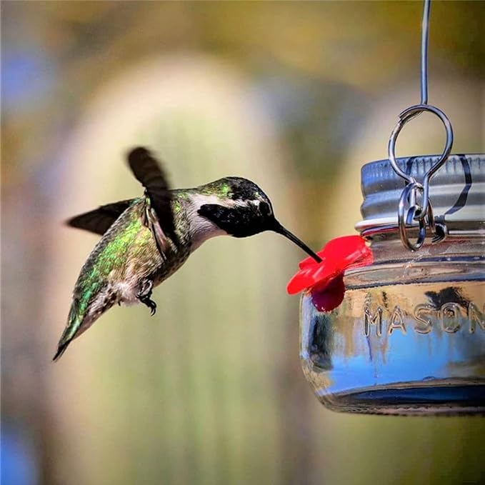 Hanging Bird Feeder for Wild Birds Flower Outlet Feeder Outside Water Bottle Birds Watering Supplies Feeders for Outdoors Feeders for Outdoors Metal