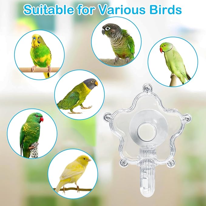 BNOSDM Bird Foraging Toys Cockatiel Foraging Wheel Parrot Cage Spinning Toys Parakeet Enrichment Puzzle Feeder Toy for Budgies Lovebirds Canaries (Transparent)