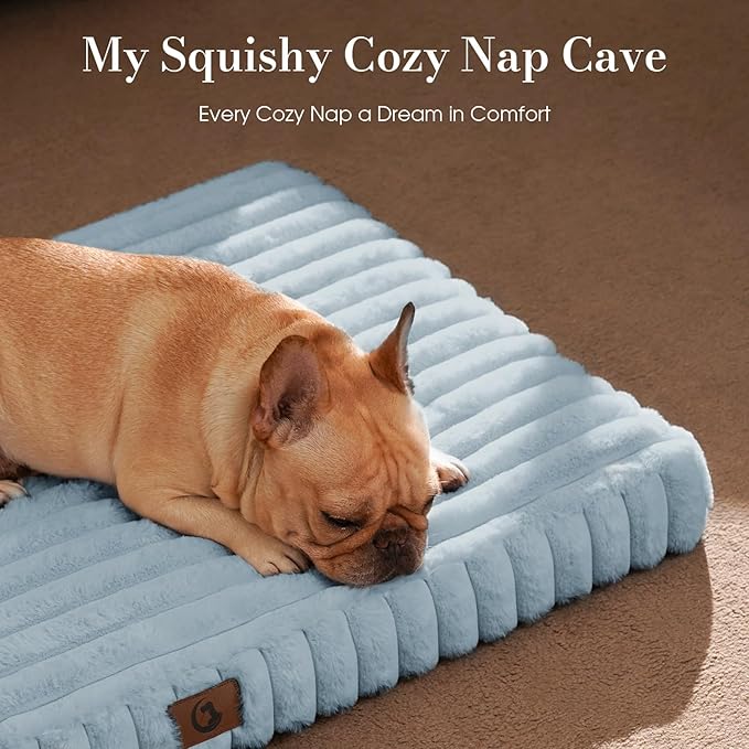 Orthopedic Dog Bed Medium Size Dog, Pet Beds with Waterproof Lining, Soft Short Plush Surface & Egg Crate Foam, Machine Washable Pet Mat with Removable Cover & Anti Slip Bottom