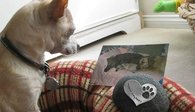 Comforting Dog Memorial Gift - Sympathy or Condolence Gift for Loss of Pet - Forever in My Heart Stone by Whitney Howard Designs