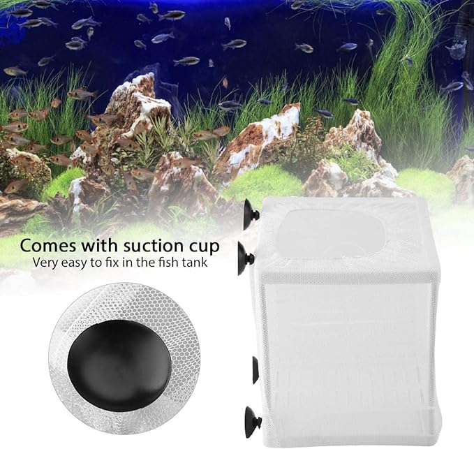 Pssopp Fish Incubator Mesh Box Aquarium Breeding Hatchery Fish Isolation Mesh Young Fish Hatchery Incubator with Isolation Board for Separate Special Fish