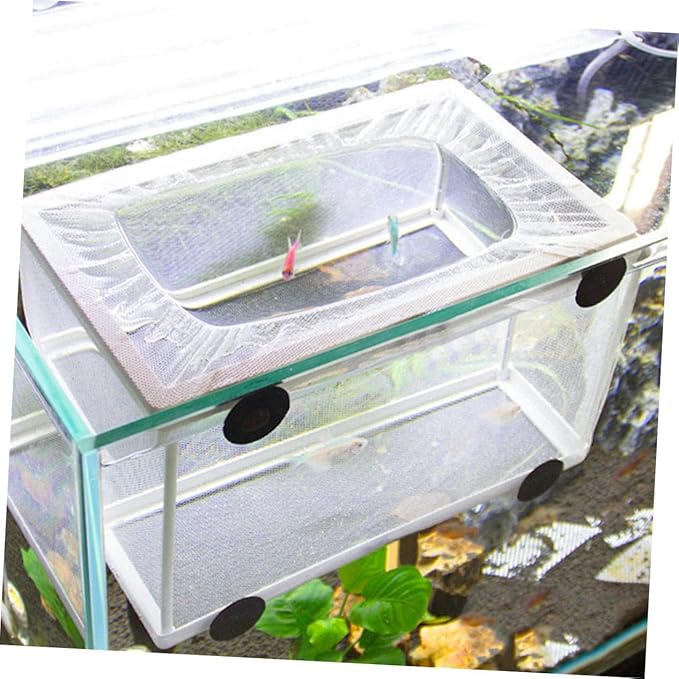 BESPORTBLE 3pcs Fish Tank Isolation Box Net Breeder Box Suction Cup Fish Breeding Divider