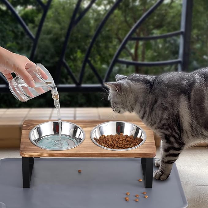 Stainless Steel Raised Cat Food Bowl for 2 Bowls, 5.5-Inch Replaceable Cat Bowl, Pack of 2 （Not fit 4.7 inch 3 Bowls）