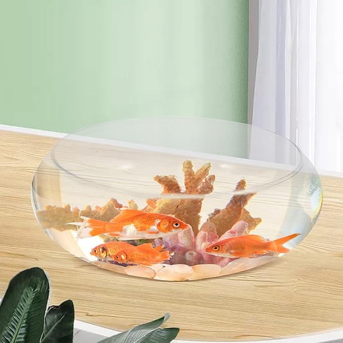 Zerodeko 1PC Glass Fish Bowl, Hydroponic Plant Pot Lotus Hydroponic Container Clear Glass Fish Tank Small Fish Tank Glass Round Aquarium for Goldfish Betta