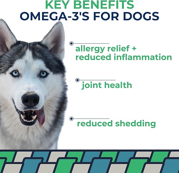 Momentum Carnivore Nutrition Tiny Cod Twists Dog Chews – Single Ingredient Icelandic Cod Skin Treats – Natural Dental Support, High-Protein Fish Chews – 3.1 oz Bag