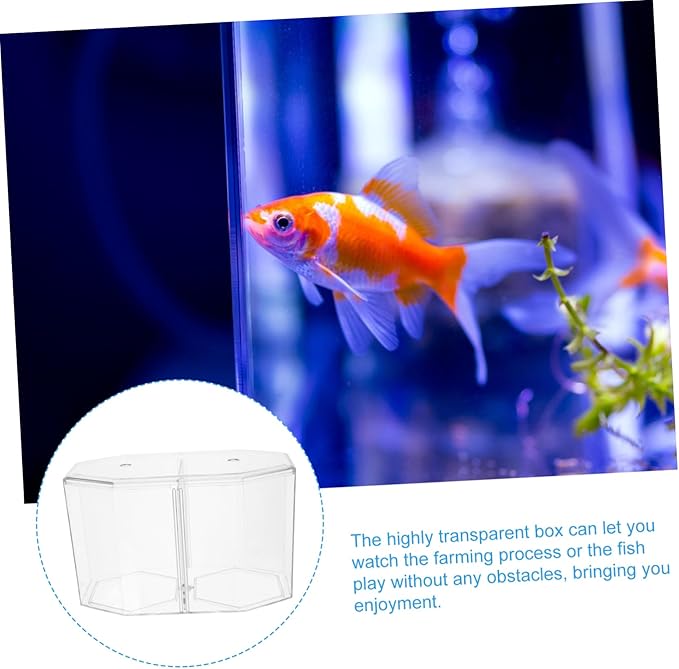 Transparent Fish Breeding Tank with Removable Divider Isolation Box for Fish Easy to Clean Hatchery Incubator for Protecting Home Aquarium