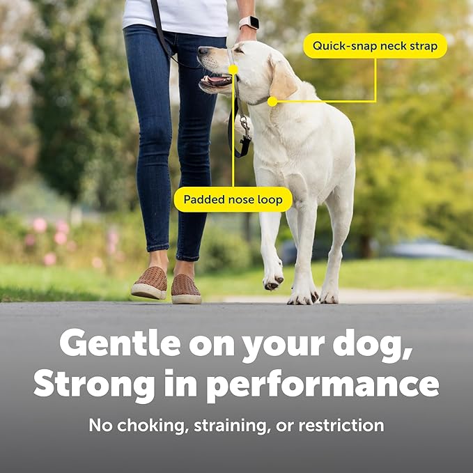 PetSafe Gentle Leader Headcollar No-Pull Dog Collar - Helps Improve Walks - Durable Nylon Construction - Padded Nose Loop - Adjustable Fit - Comfort Walking Halter - Medium, Silver