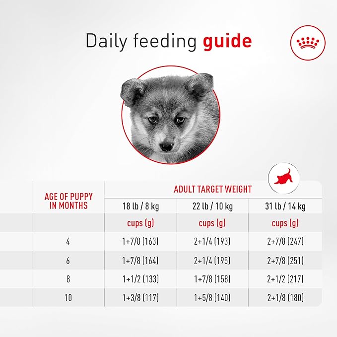 Royal Canin Corgi Puppy Dry Dog Food, Kibble for Corgis 2 to 12 Months, Supports Digestion and Bone and Joint Support 2.5 lb Bag