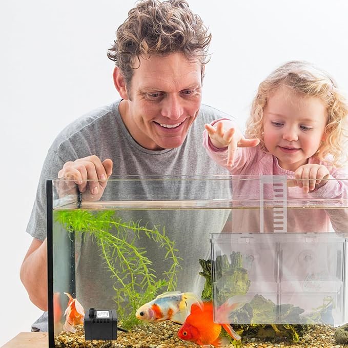 Kisangel Fish Breeding Style Incubator Tank for Tropical Fish Pe Material Aquarium Fry Isolation to Install