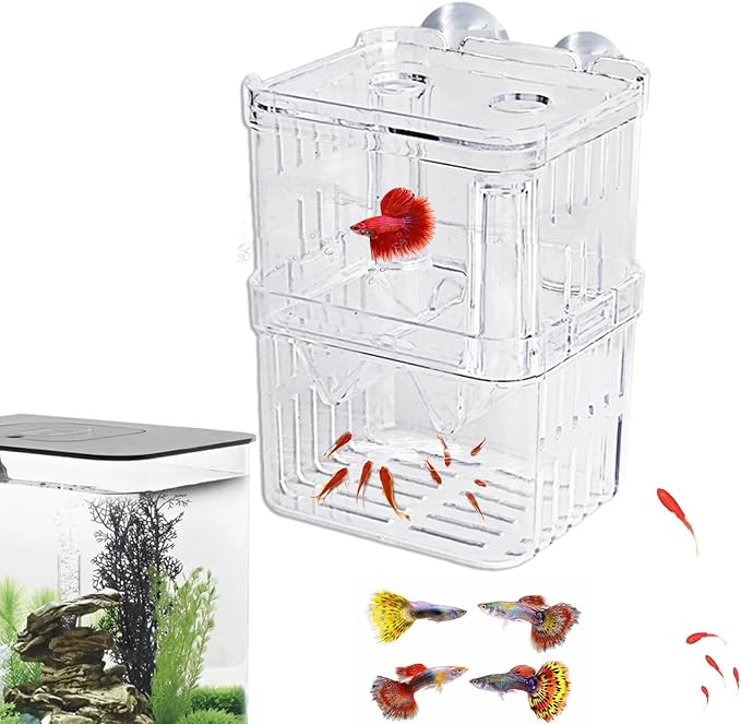 1/2 Fish Breeding Box - Aquarium Breeder Box, Fish Acclimation Box with 2 Suction Cups | Easily Install Fish Isolation Box, Acrylic Aquarium Hatchery Incubator for Baby Fishes Shrimp Betta Guppy