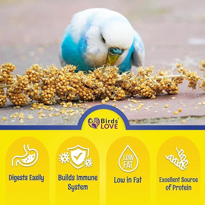 Birds LOVE Millet Tips & Tails for Birds - Parakeets, Cockatiels, Lovebirds, Budgies, Canaries, Cockatoos - Natural & Healthy Millet for Bird, Parakeet Food & Treats for All Parrots, 1lb (Pack of 25)