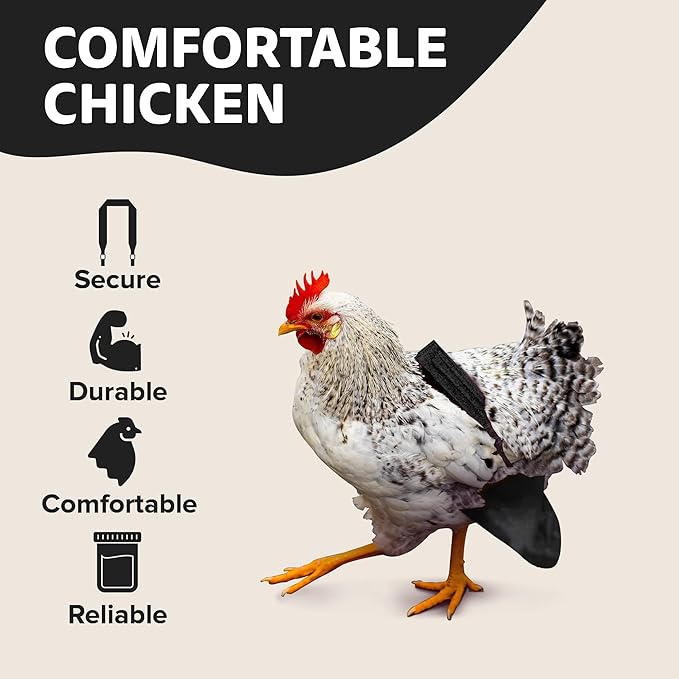 Hen Holster Bikini Diaper, Bird Diaper & Harness for Hens, Roosters, Ducks, Geese - with Removable Vinyl Liner, Adjustable Fit for Outdoor Adventures & Indoor Use - Easy to wear - S/M, Black