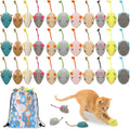 Leitee 50 Pcs Assorted Mice Cat Toys Bulk with 1 Cat Paw Gift Storage Bags Set, Furry Mouse Kitten Toy Mini Mouse for Indoor Cats, Interactive Play Color Varies(51 Pcs,Plush Mice)