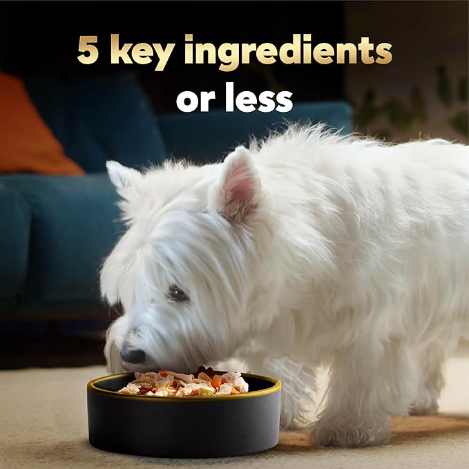 Cesar Simply Crafted Adult Wet Dog Food Toppers for Dry Food, Chicken, Sweet Potato, Apple, Barley & Spinach, 1.3 oz., 10 Count