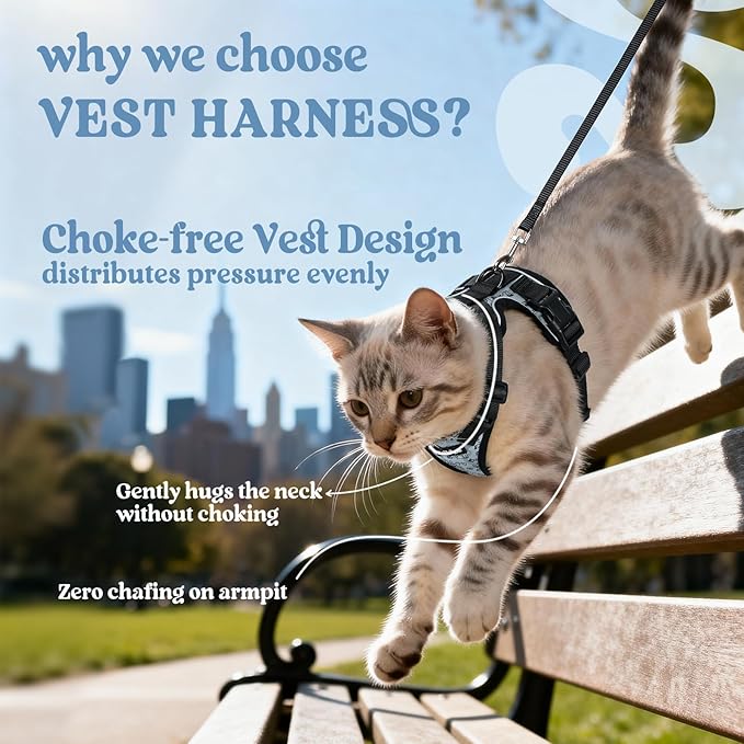 rabbitgoo Cat Harness and Leash for Walking, Escape Proof Soft Adjustable Vest Harnesses for Cats, Easy Control Breathable Reflective Strips Jacket, Doodle Gray,S