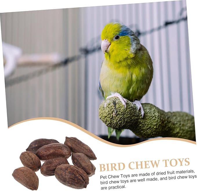 8pcs Dried Fruit Bird Toys for Parrots Foraging Chewing Toys for Birds Parrot Accessories Natural Shredding Treats