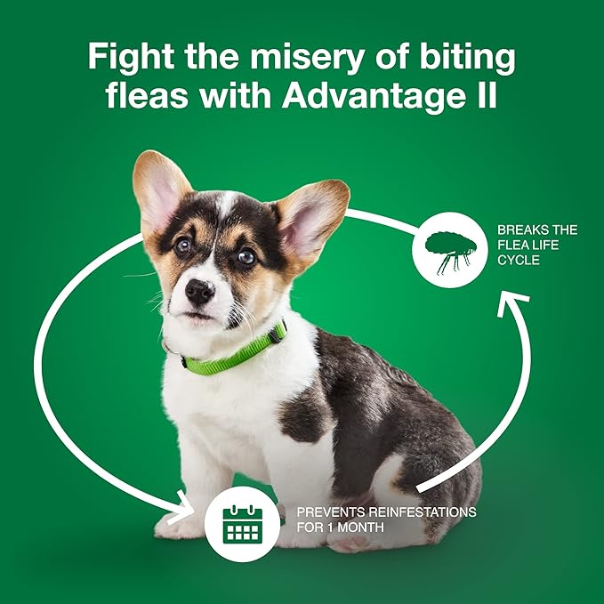 Advantage II Small Dog, 4 pack