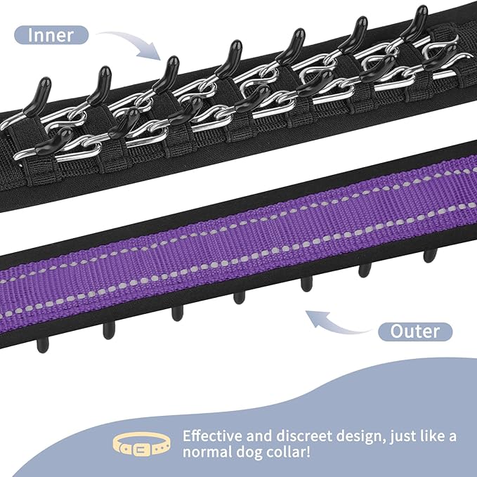 Mayerzon Martingale No Pull Collar for Medium Large Dogs, Patented Anti Pull Dog Collar with Buckle for Walking Training, with Reflective Stitching and Neoprene Padding, Adjustable(Purple, L)