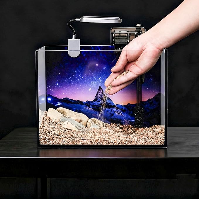 2 Gallon Glass Fish Tank with Filter LED Light Complete Aquarium Starter Kit for Betta, Shrimp, Nano Fish Rimless Small Aquarium with Everything Included