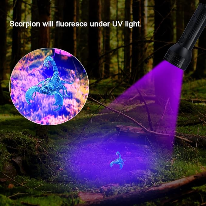 Jeanoko Pet Urine Detector, Portable Black Light Flashlight with More Bright 51 LEDs, Multipurpose Detection, Design, Spot Dried, Works Well, Scorpions, Hotel Rooms, Caterpillars,