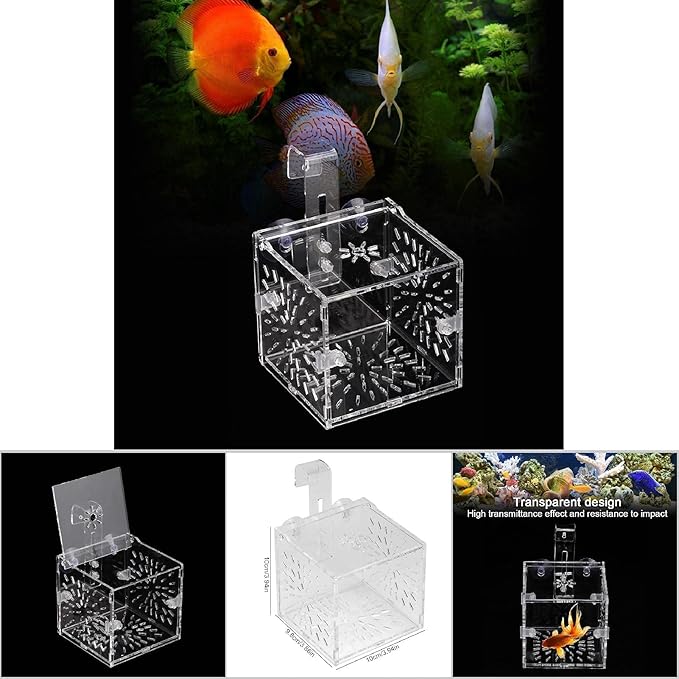 Fish Breeding Incubator, Fish Tank Hook Sucker Design Stable Fish Incubator Box for Breeding for Isolation(10CM*10CM*10CM)