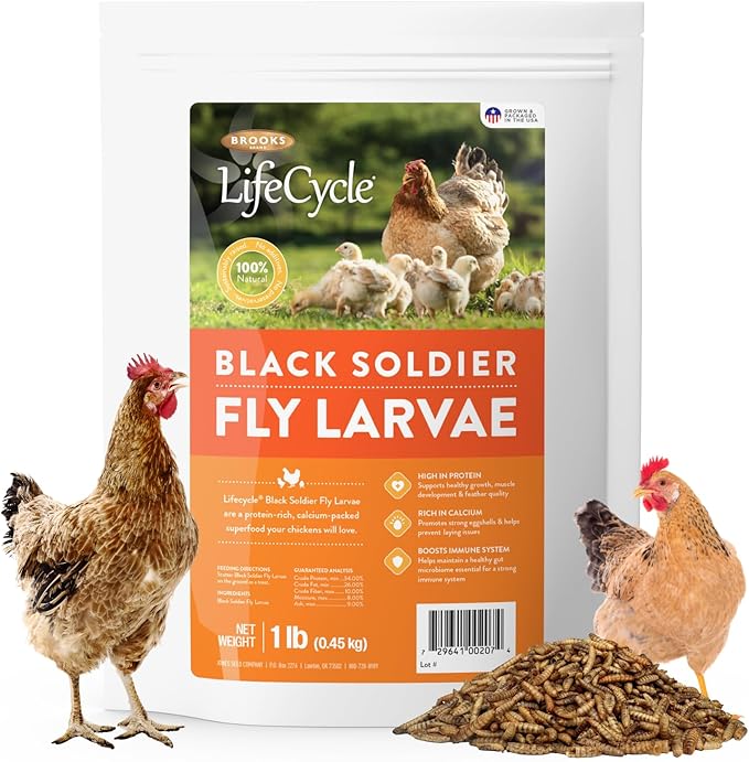 Black Soldier Fly Larvae Chicken Treats, Mealworms Alternative, Grubs for Chickens, High Calcium for Laying Hens, Made in USA, 1 lbs