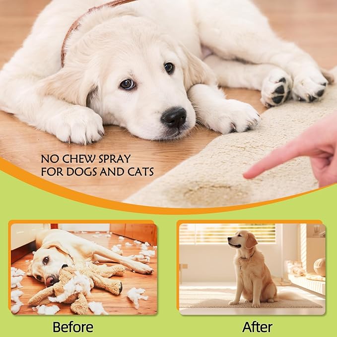 Cat Deterrent Spray for Peeing, Effective Dog Deterrent Spray for Furniture, Pee Corrector Spray, Training Spray for Furniture, Indoor & Outdoor Safe for Pet & Human, 4 oz / 120 mL