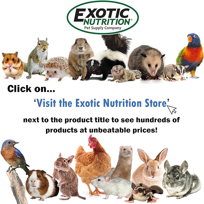 Exotic Nutrition Bee-Tastic - Healthy All-Natural Chicken Treat - Dried Insects, Flowers, Herbs Wheat Berries & Bee Pollen - Promotes Healthy Chickens & Eggs (1.5 lbs)
