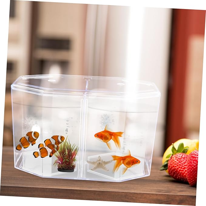 Transparent Fish Breeding Tank with Removable Divider Isolation Box for Fish Easy to Clean Hatchery Incubator for Protecting Home Aquarium