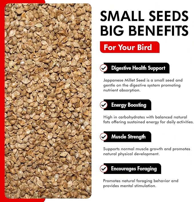 Morning Bird Japanese Millet Seed Bag 9 lbs - Healthy & Nutritious Pet Bird Food to Support Health & Immunity - Delicious Unique and Natural Flavor – Ideal Bird Feed for All Seed Eating Birds