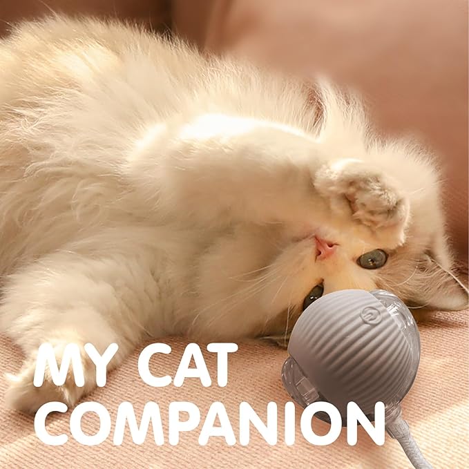 Rocfish Durable Interactive Cat Toys for Indoor Cats, Smart Automatic Cat Chase Ball Toy, Upgraded Speedy Tail Kitten Toy for Bored Indoor Adult Pets (Grey)