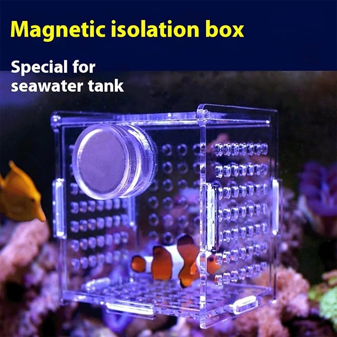 Acrylic Fish Breeding Box, Magnetic Fish Isolation Box Fish Separator for Aquarium Hatchery Incubator Tank for Baby Fishes Shrimp Clownfish Guppy (Small, Reinforced Magnetic Model)