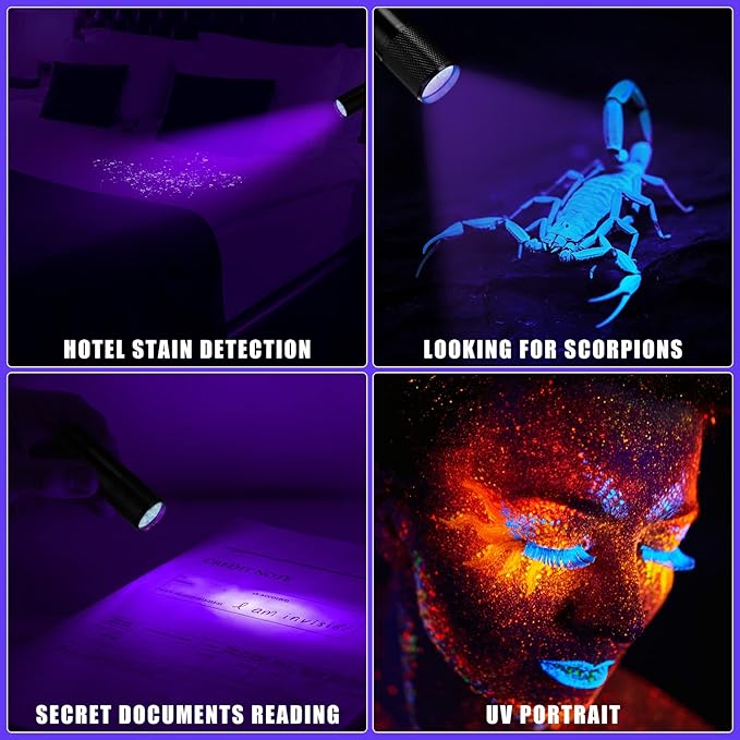 Hortsun Blacklight Flashlights Small UV Lights 395nm LED Portable Ultraviolet Light Detector Mini Flashlight Torch for House Dog Cat Pets Urine Stains Bed Bugs(20 Pcs)