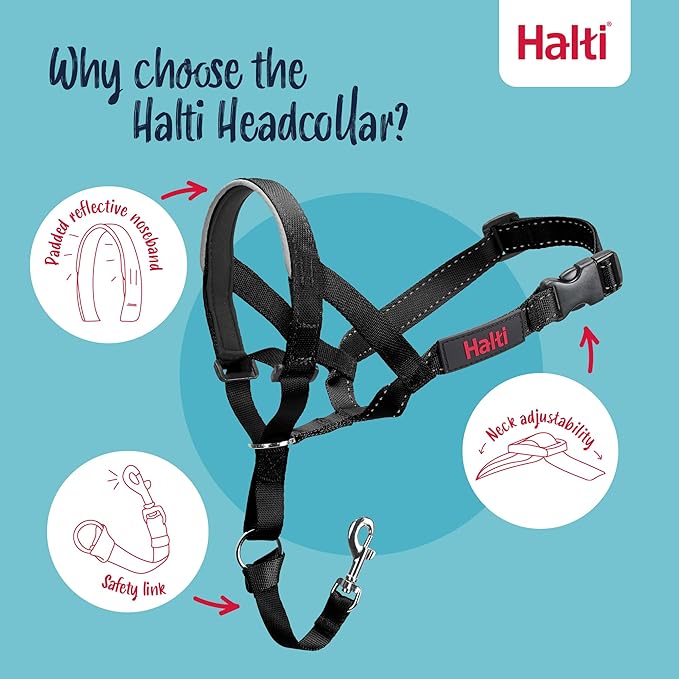 Halti Headcollar - Stop Your Dog Pulling on the Leash. Adjustable, Reflective and Lightweight, with Padded Nose Band. Dog Training Anti-Pull Collar for Small Dogs (Size 0, Black)