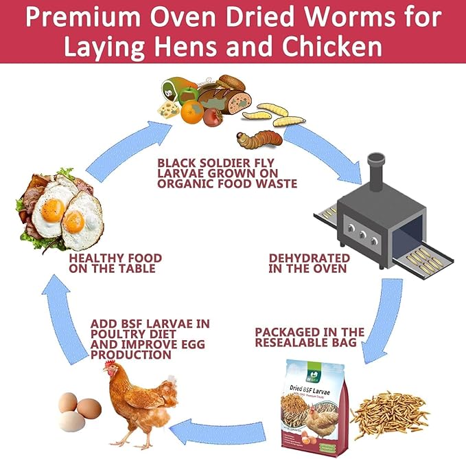 DE AVILA 20LB Dried Black Soldier Fly Larvae for Chickens Bulk, Non GMO 86X High Calcium Grubs Than Meal Worms for Laying Hens,100% Natural BSF Larvae for Chicken Worms Wild Bird Treats (2.5LB x 8)
