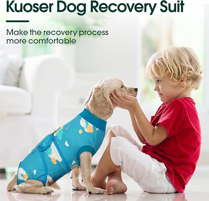 Kuoser Dog Recovery Suit After Surgery, Dog Surgery Suit Female Spay, Male Neuter, Anti-Licking Pet Onesie, Surgical Recovery Bodysuit for Abdominal Wounds,Skin Disease, E-Collar Cone Alternative, 2XL