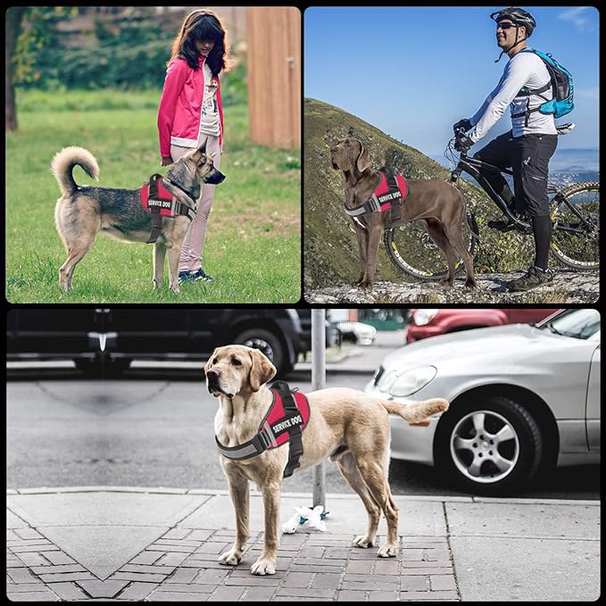 JSXD Dog Harness,No-Pull Service Dog Harness with Handle Adjustable Outdoor Pet Dog Vest 3M Reflective Nylon Material Vest for Breeds,Easy Control for Small Medium Large Dogs