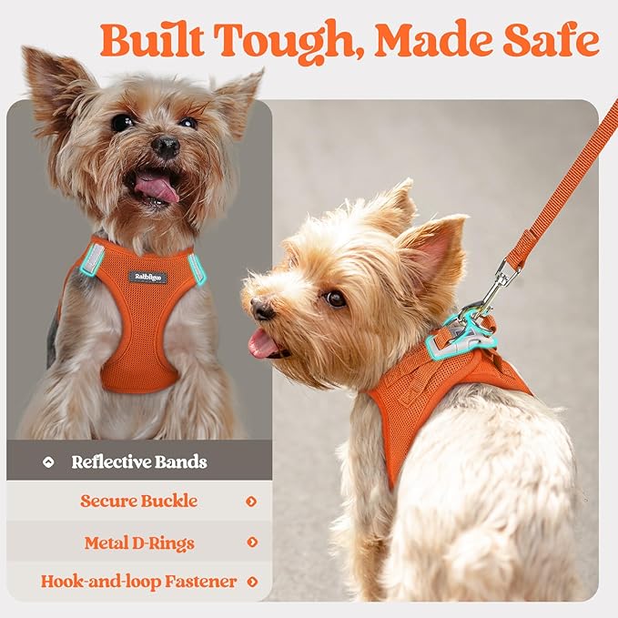 rabbitgoo Dog Harness Small Sized and Leash Set, Step in Soft Light Puppy Vest, Breathable Mesh Pet Harness, Reflective for Safe Easy Walking, Orange XXS