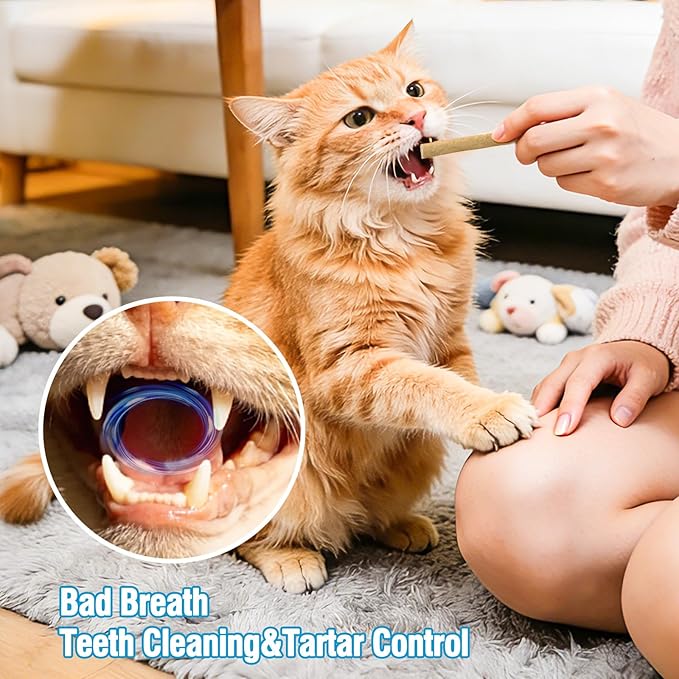 3.52oz Freezed Dried Cat Teething Sticks, Cat Chew Stick for Dental Care, Salmon Chicken Flavour Cats Treats, Feline Freshens Breath Snacks