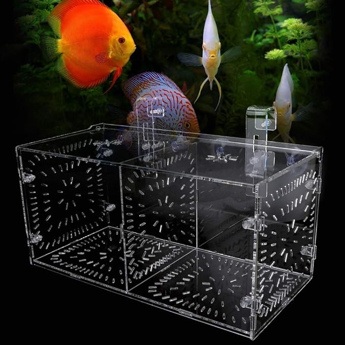 Fish Tank Breeding Box Aquarium Isolation Box Transparent Acrylic Fish Tank Incubation Box for Aggressive Injured Sick Fish Shrimp 15x15x15cm 30x15x15cm 20x20x20cm (30CM*15CM*15CM)