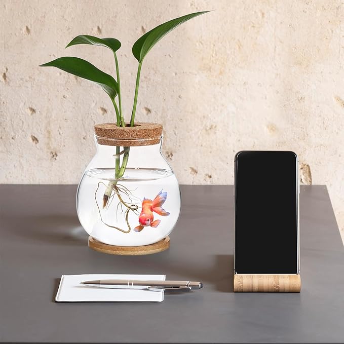 Milisten Desktop Fish Tank Small Glass Bowl with Wood Lid and Bamboo Cushion Hydroponic Plant Terrarium Betta Fish Aquarium for Home Office Decoration