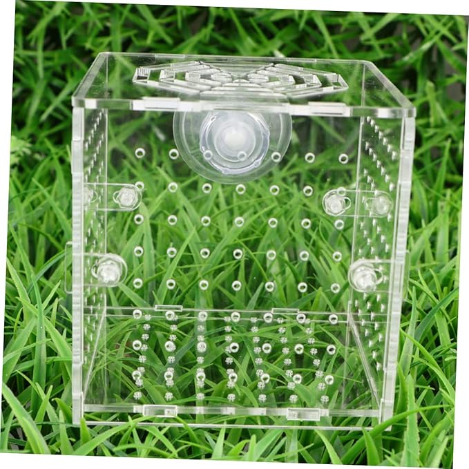 BESPORTBLE Acrylic Fish Breeding Box Live Fish Isolation Tank Breeding Hatching Box for Aquarium Round Hole Suction Cup