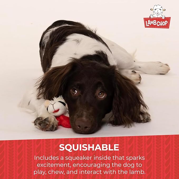 Multipet Lamb Chop Dog Plush Toy - Squeaky Toy for All Dogs - Extra Soft Plush - Stuffed Animal Dog-Toy for Cuddling & Playing - Cute Pet-Toy (6",Cream),(Pack of 2)
