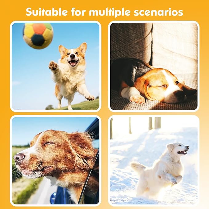 BONSO 2-in-1 GPS Tracker for Dogs: Smart Collar with Real-Time Location, No Monthly Fee, Unlimited Range (iOS Only) GPS Tracker Dog Collar- Ideal for Small, Medium Large Dogs(Tracker Included)