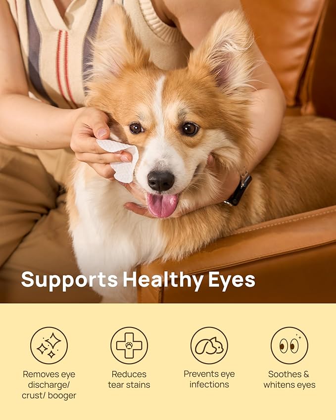 HICC PET Eyes Wipes for Dogs & Cats, Vet-Recommended Dog Eye Infection Treatment, Gently Remove Tear Stain, Debris, Discharge - Hypoallergenic Pet Eye Wash Cleaner for Eyes, Wrinkle, Face - 100pcs