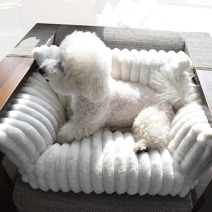 Cat Couch for Pets - Cute Cat Beds for Indoor Cats with Removable Cover, Washable Soft Corduroy Plush, Fluffy Supportive Pet Sofa Chair for Cats, 24 inch White