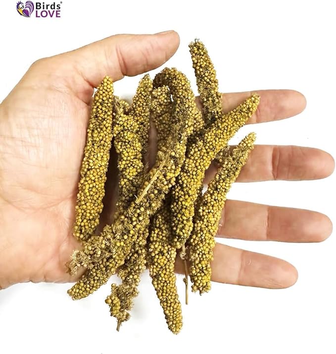 Birds LOVE Millet Tips & Tails for Birds - Parakeets, Cockatiels, Lovebirds, Budgies, Canaries, Cockatoos - Natural & Healthy Millet for Birds, Parakeet Food & Treats for all Parrots, 5oz (Pack of 94)