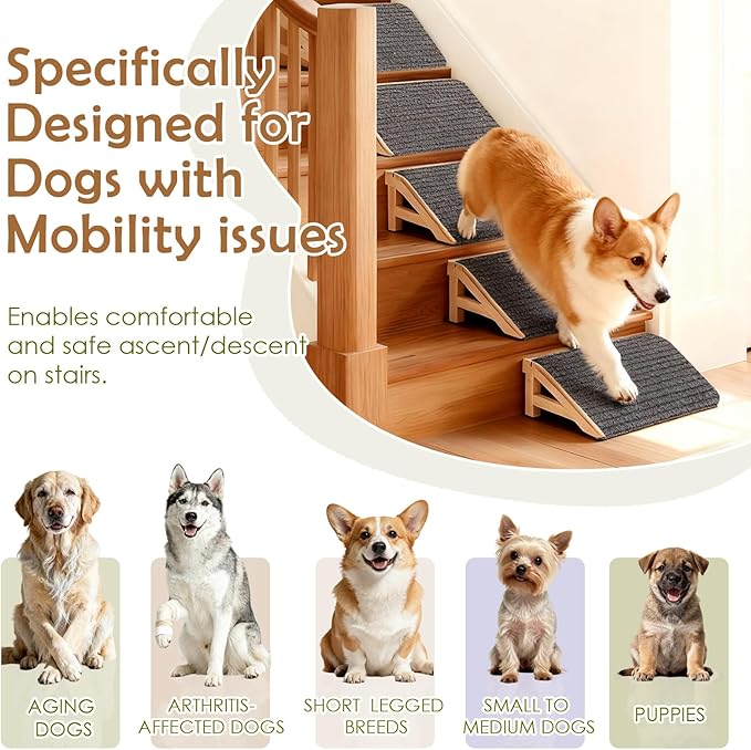 2 Pack Dog Ramp Stairs for Small Dogs – 2-in-1 Solid Wood Pet Ramp & Calf Stretcher, Supports 170lbs, Non-Slip Carpet, Gentle Slope for Senior/Injured/Aging Dogs, Indoor/Gym Use, No Assembly Required